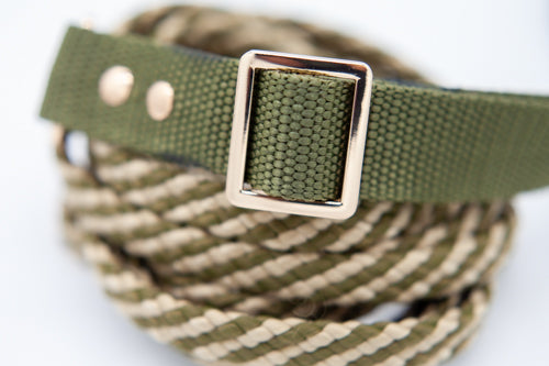 Olivgrönt halsband 25 mm