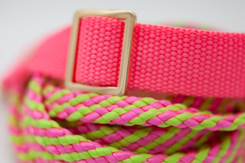 Rosa halsband 25 mm