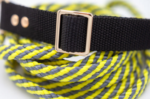 Svart halsband 25 mm