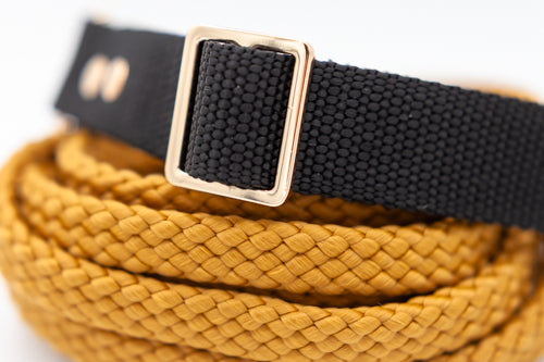 Svart halsband 25 mm
