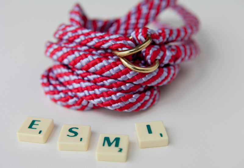 Esmi