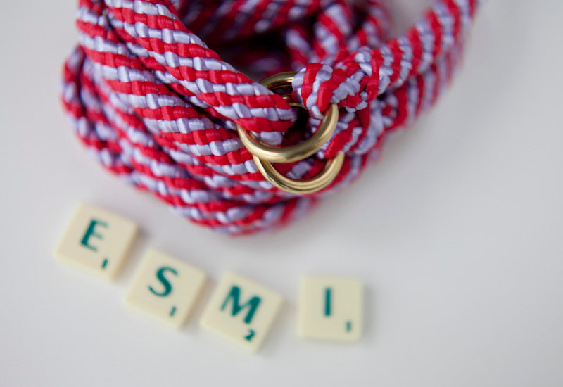 Esmi