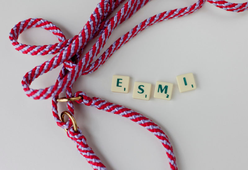 Esmi