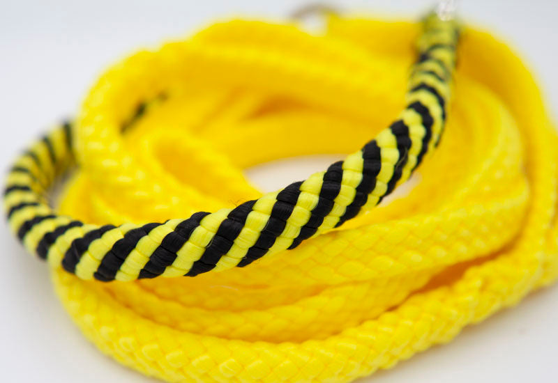 Gult med randigt halsband