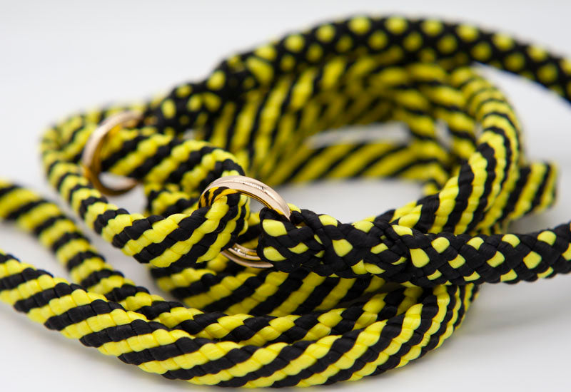 Yellow & black