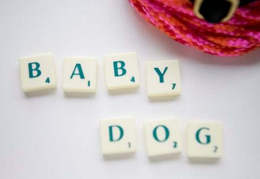 babydog_redrosaorange_web1